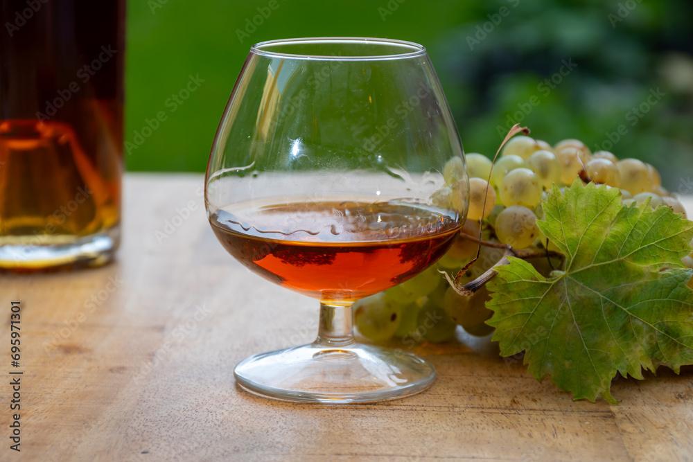 pineau des charentes (7)