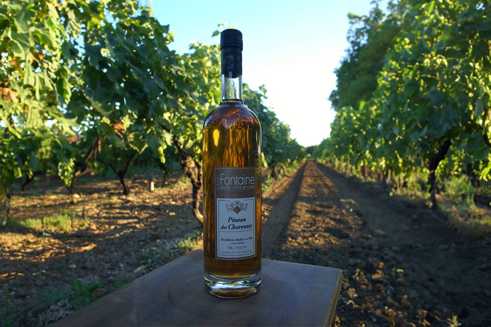 vin pineau près de Île-d'Aix
