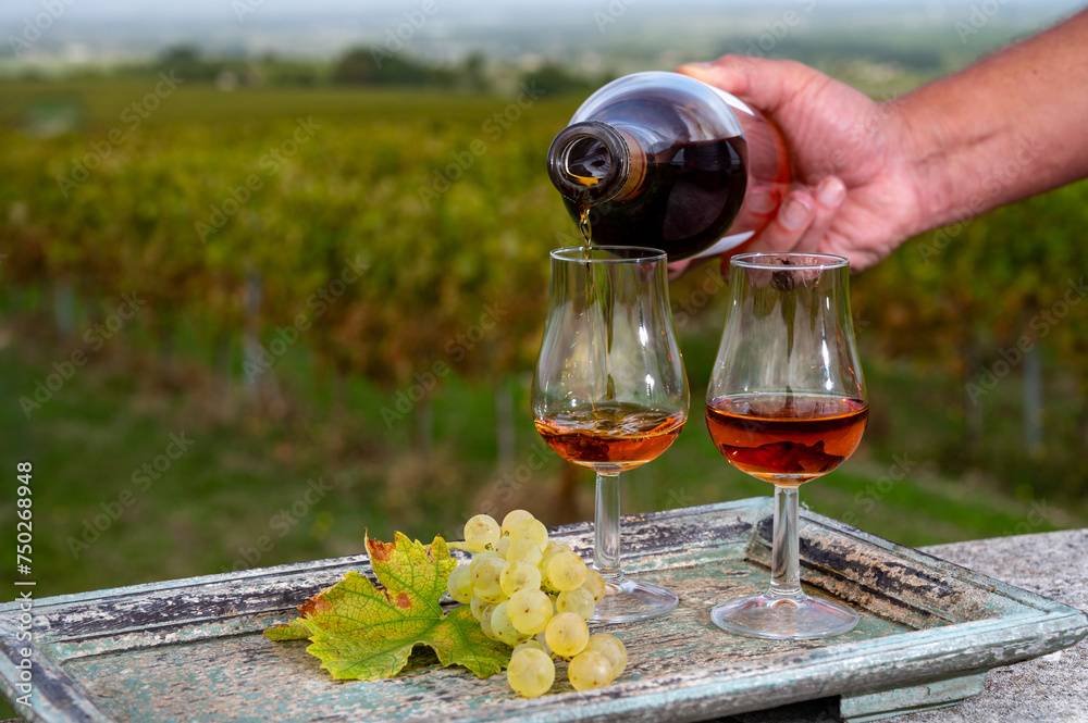 pineau des charentes (3)